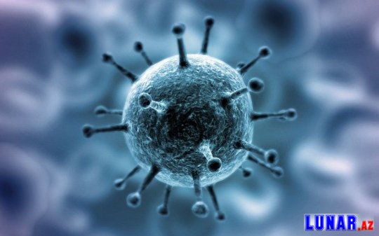 Koronavirus 2025-ci ilə qədər davam edəcək