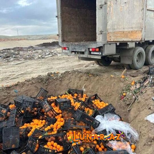 İrandan gətirilən tonlarla portağal məhv edildi